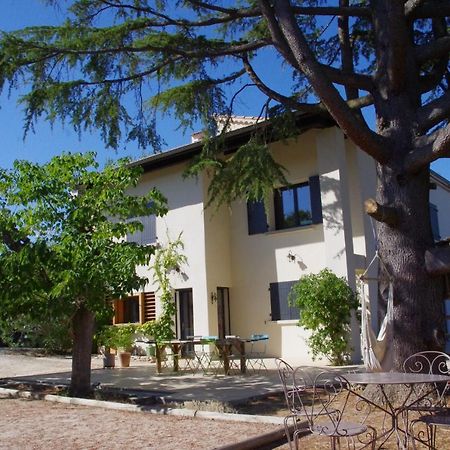 Le Grand Cèdre - 2 Chambres d'hôtes - Sud Ardèche Bourg-Saint-Andéol Exterior foto